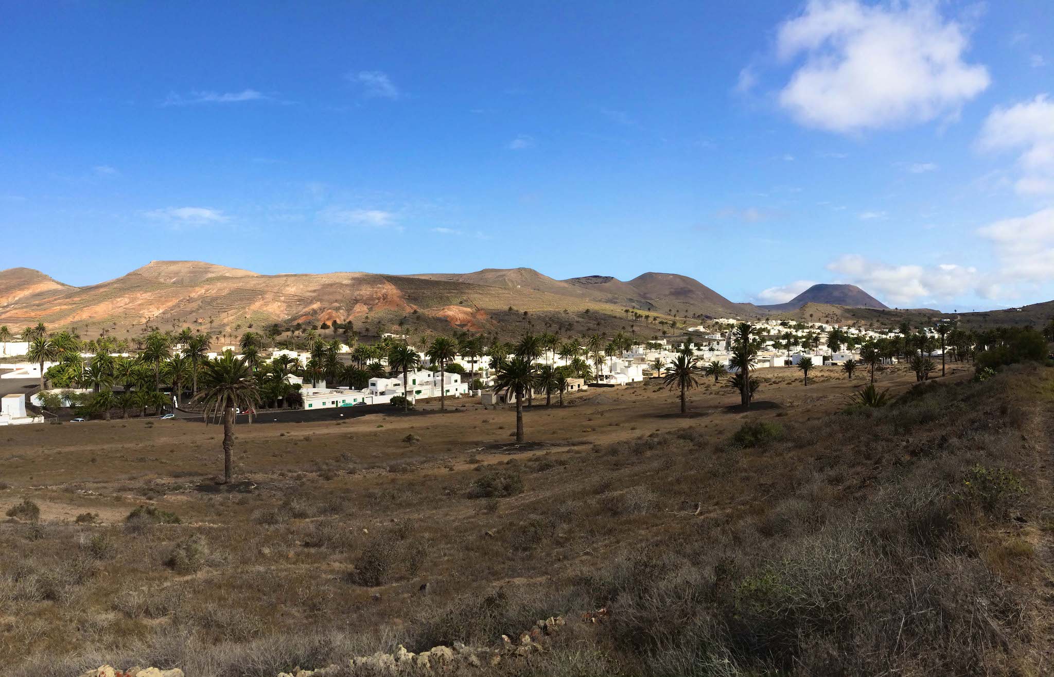 Tal der 1000 Palmen: Im kleinen Ort Haria auf Lanzarote wachsen unheimlich viele Palmen im Kontrast zu der sonst recht kargen Landschaft. Foto: Sascha Tegtmeyer