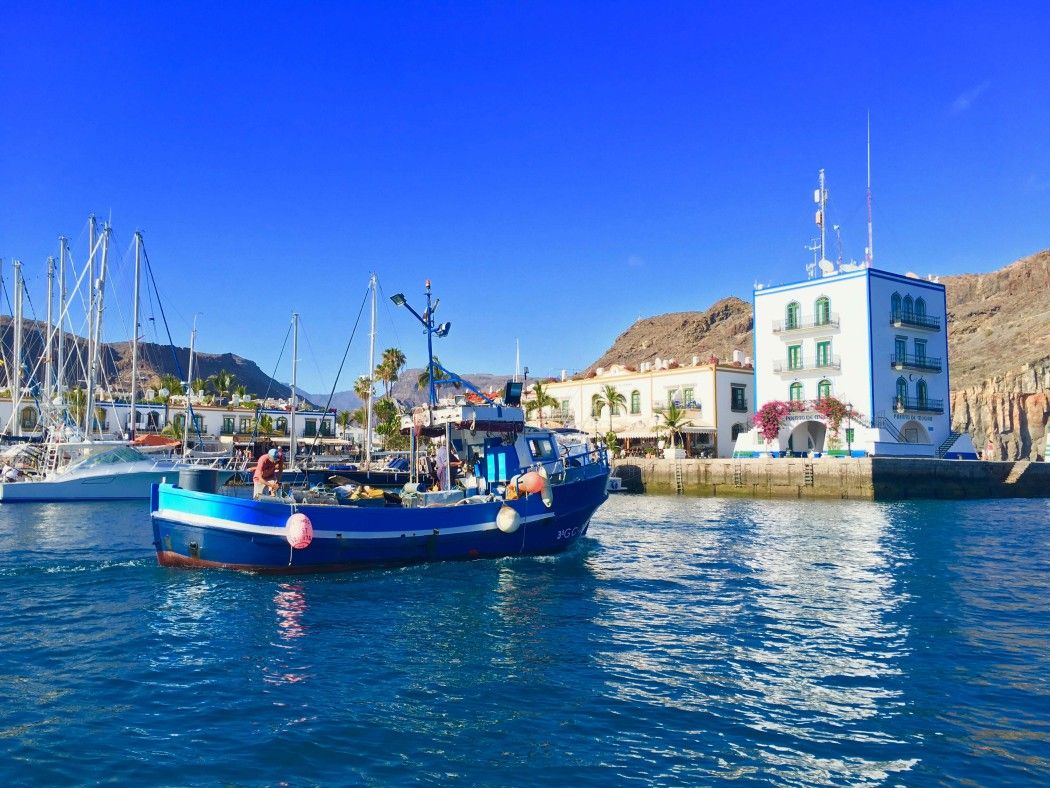 Tauchen auf Gran Canaria Erfahrungsbericht – Top-Spots im Atlantik?