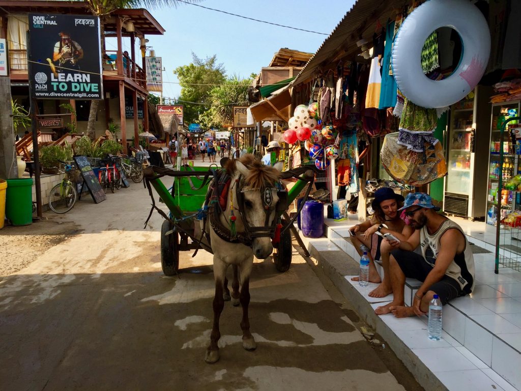 Pferde-Gespanne dienen als Taxis: Die Gili Inseln sind eine eigene kleine Welt für sich. Foto: Sascha Tegtmeyer