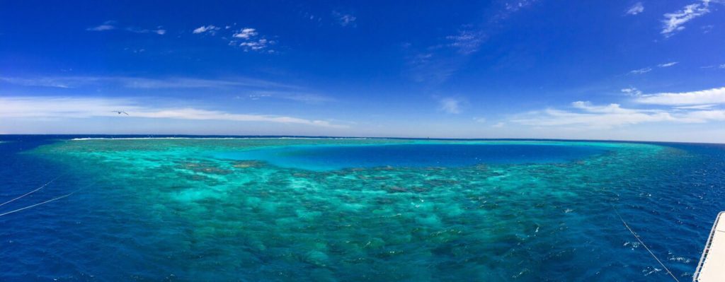 Einige der schönsten Korallenriffe des Roten Meeres erreicht man nur auf einer Tauchsafari. Foto: Sascha Tegtmeyer