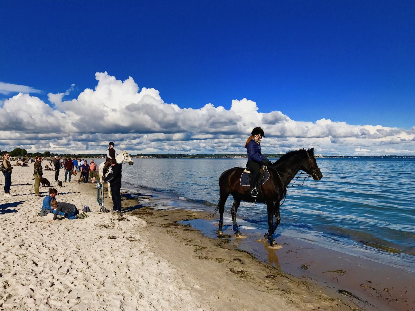 Reiten am Strand der Ostsee in Scharbeutz: Erfahrungen – Küste mit Pferd entdecken?