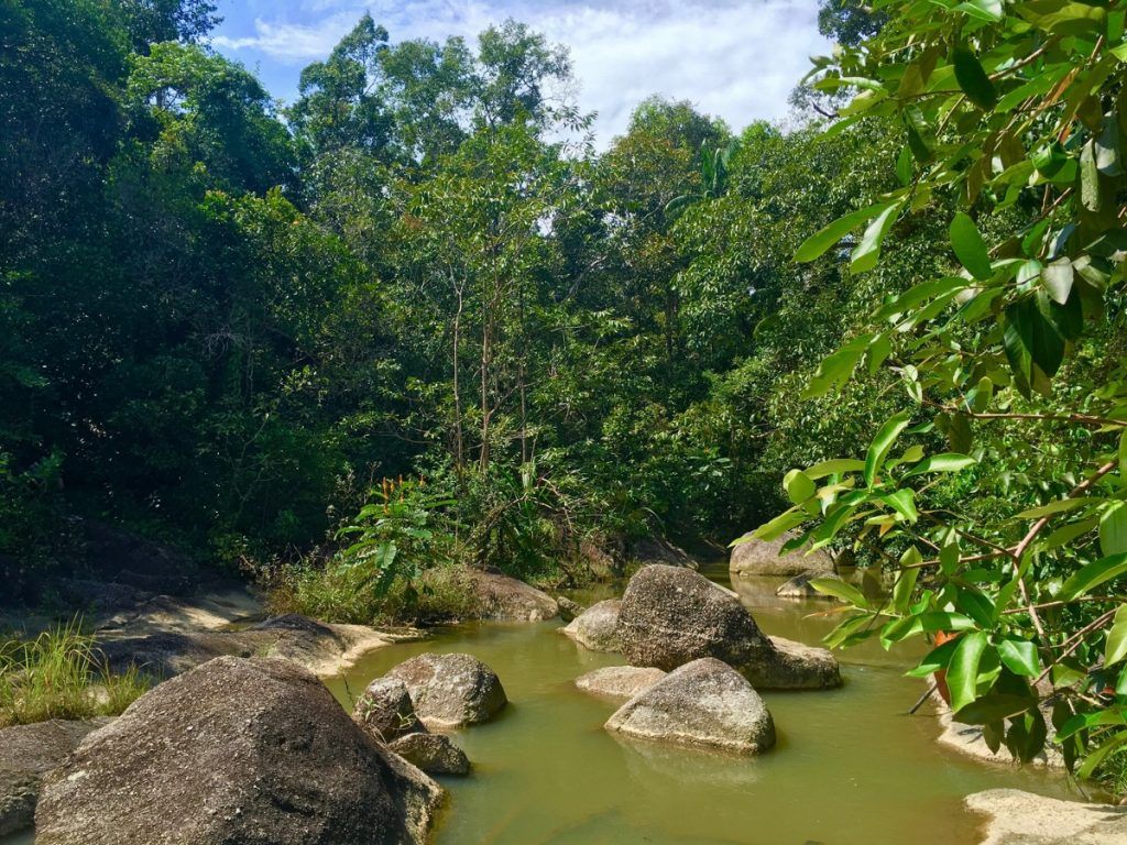 Nationalpark Than Sadet-Ko Pha-ngan: unberührte Natur, Wasserfälle und Wildnis erwarten Euch. Foto: Sascha Tegtmeyer
