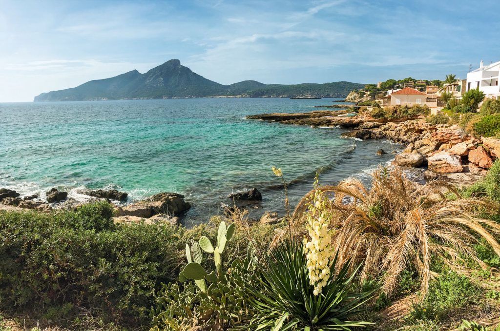 Die Dracheninsel Isla Dragonera fest im Blick: Das Panorama von Sant Elm aus ist einfach herrlich! Foto: S. Tegtmeyer