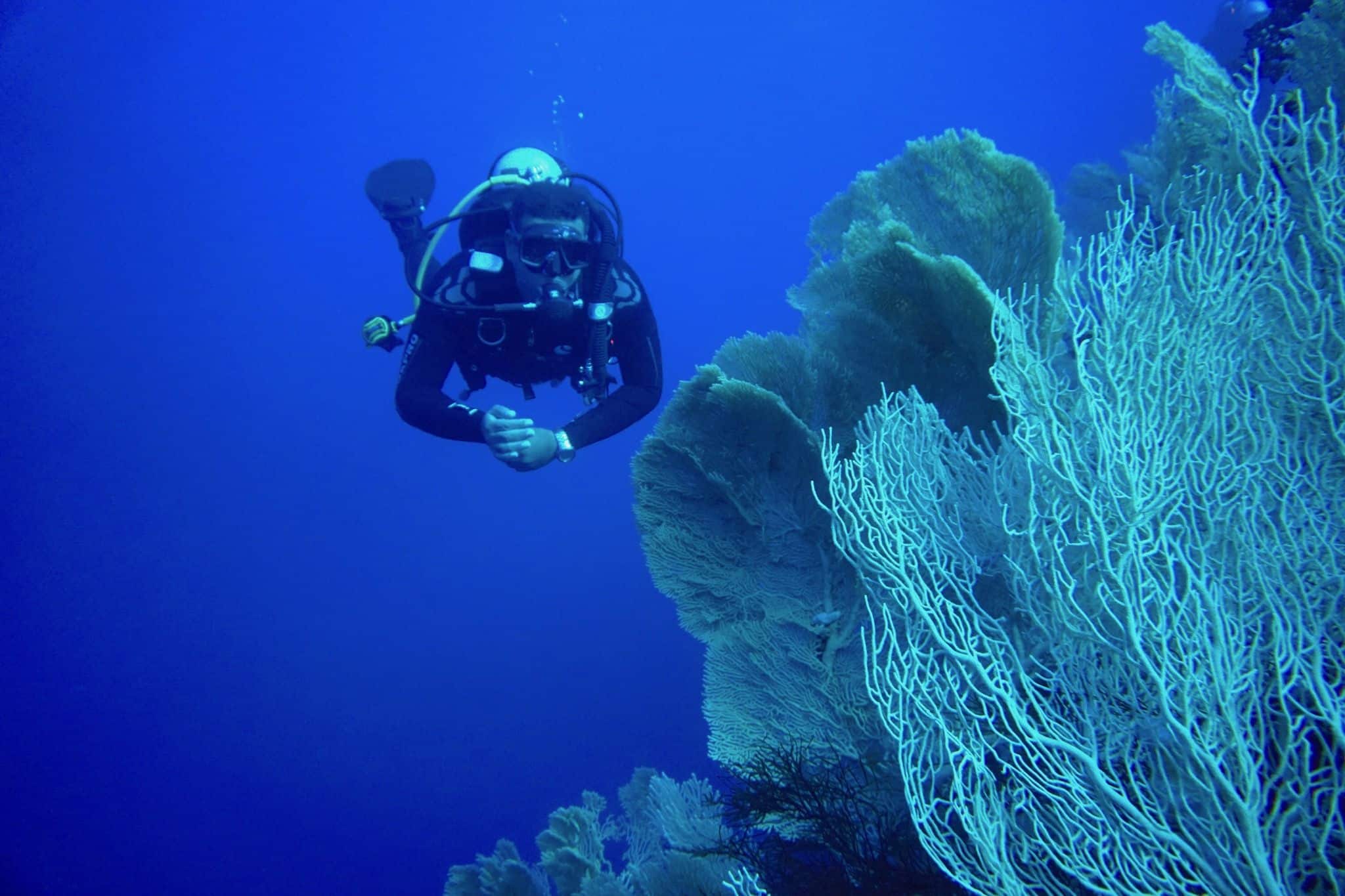 Faszination Tauchen – du kannst eine fremde Welt unterhalb der Meeresoberfläche entdecken. 