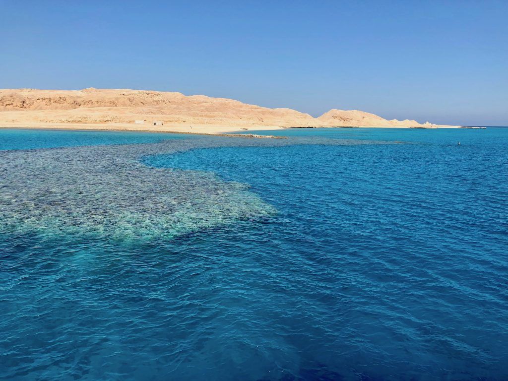 Riff im Roten Meer: Haiangriffe kommen äußerst selten vor – aber sie kommen gelegentlich vor. Foto: Sascha Tegtmeyer