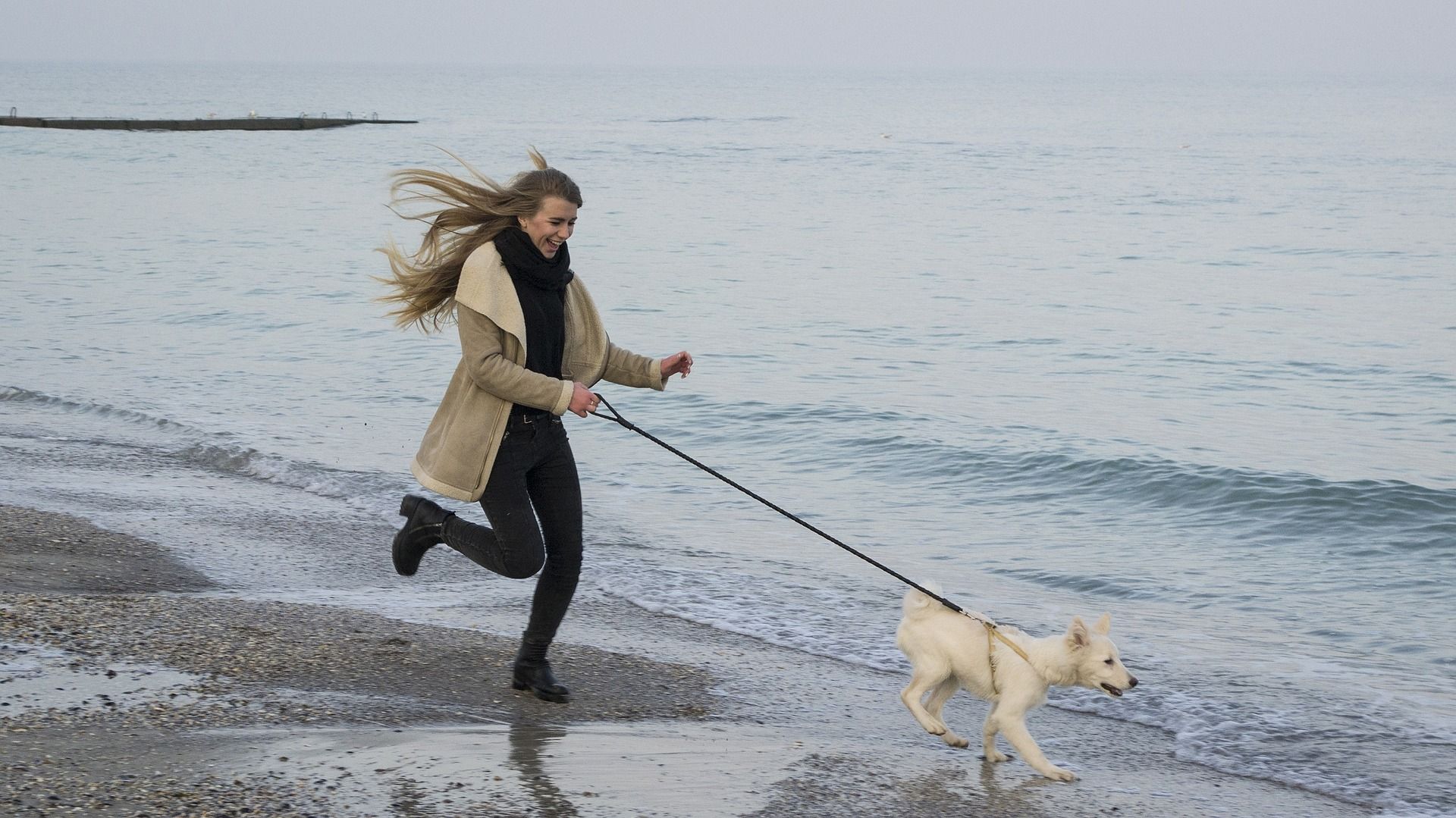 Ein Ostsee-Urlaub mit Hund ist ein unvergesslich schönes Erlebnis. Foto: Pixabay