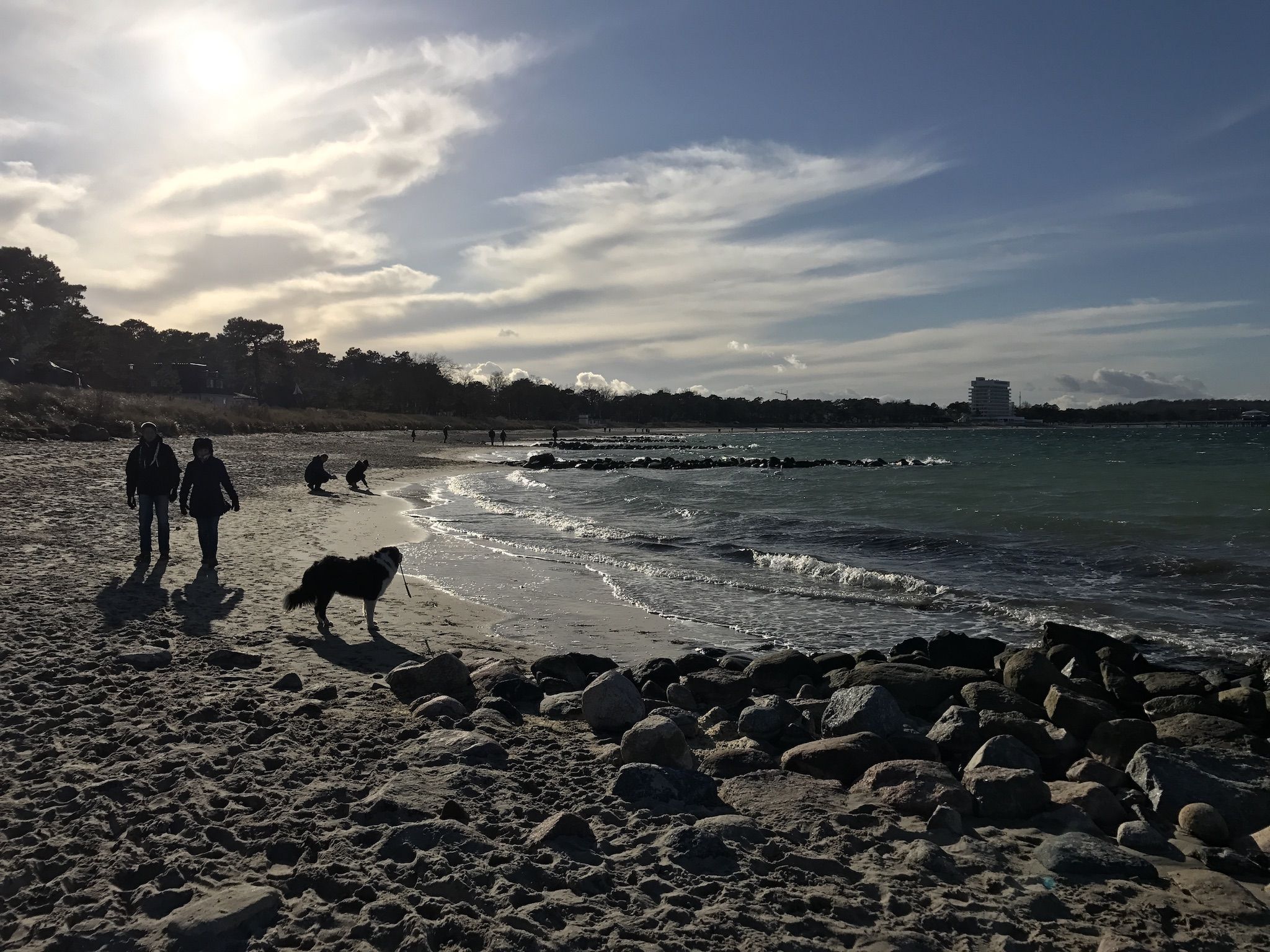 Bis zum 31. März könnt Ihr in der Lübecker Bucht noch mit eurem Hund an den Strand. Foto: Sascha Tegtmeyer