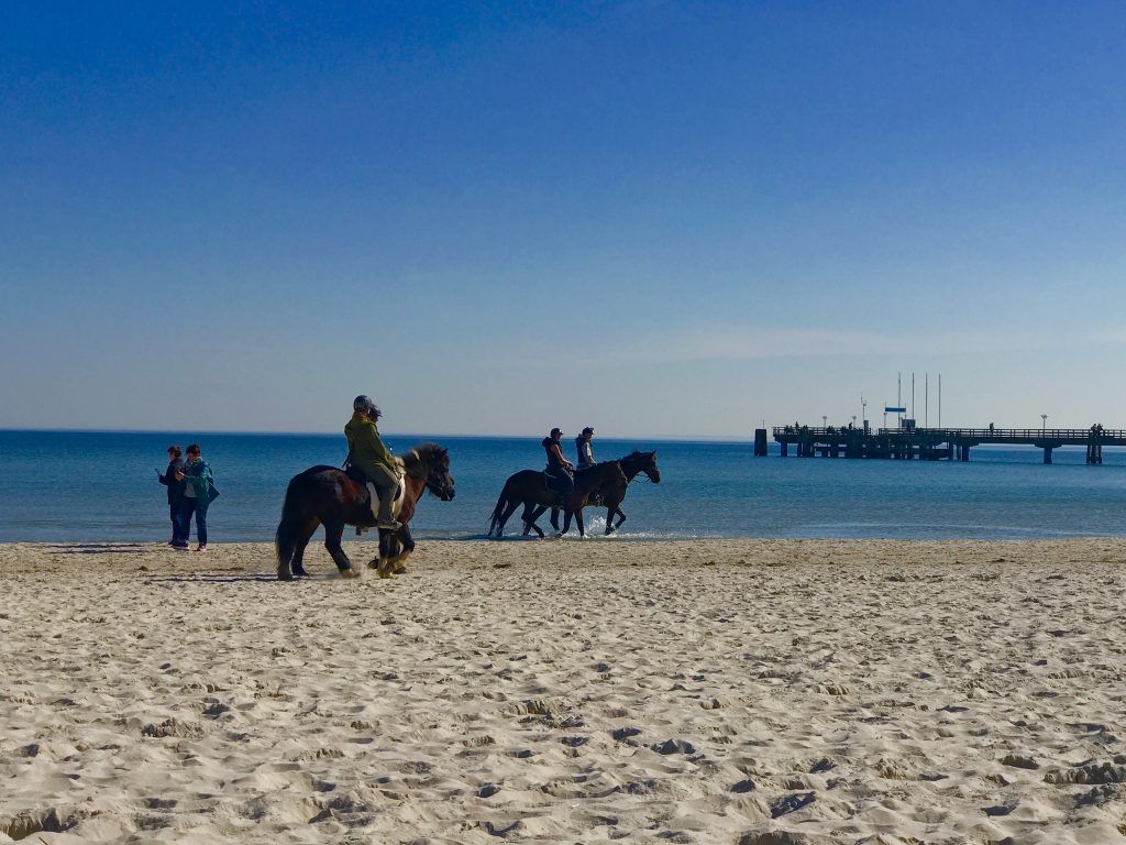 Bis zum letzten Tag nutzen Reiter die Möglichkeit, am Ostseestrand reiten zu gehen. Foto: Sascha Tegtmeyer