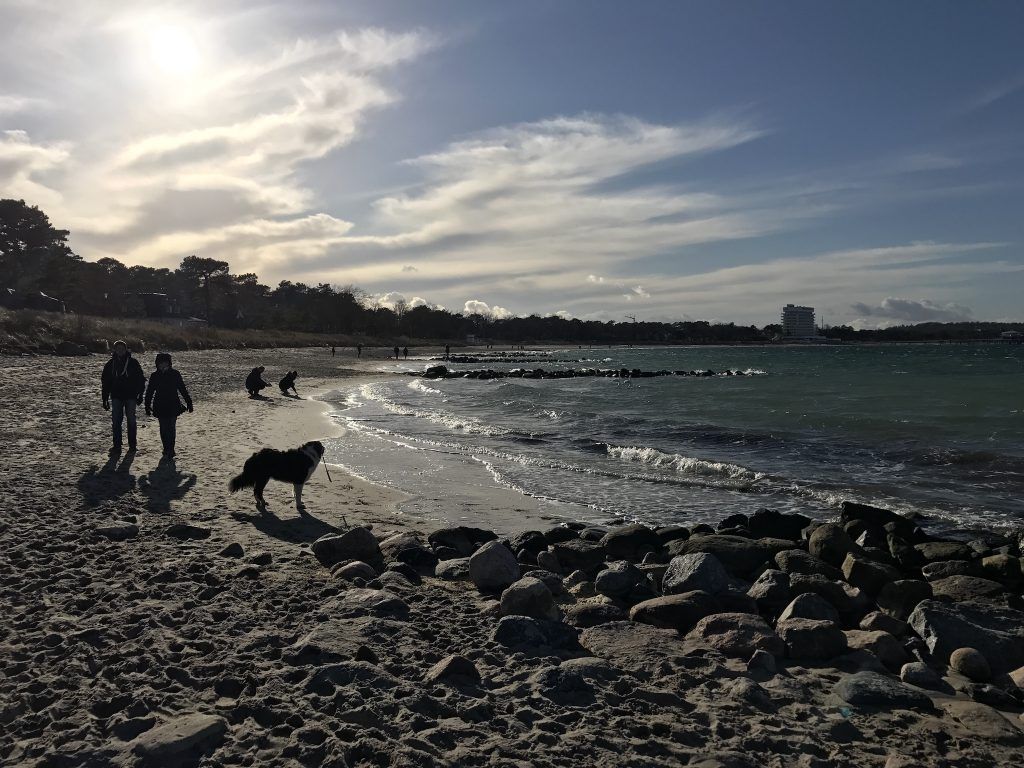 Bis zum 31. März könnt Ihr in der Lübecker Bucht noch mit eurem Hund an den Strand. Foto: Sascha Tegtmeyer