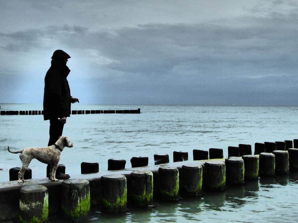 Im Winter dürfen Hunde überall in der Lübecker Bucht an den Strand. Foto: Pixabay