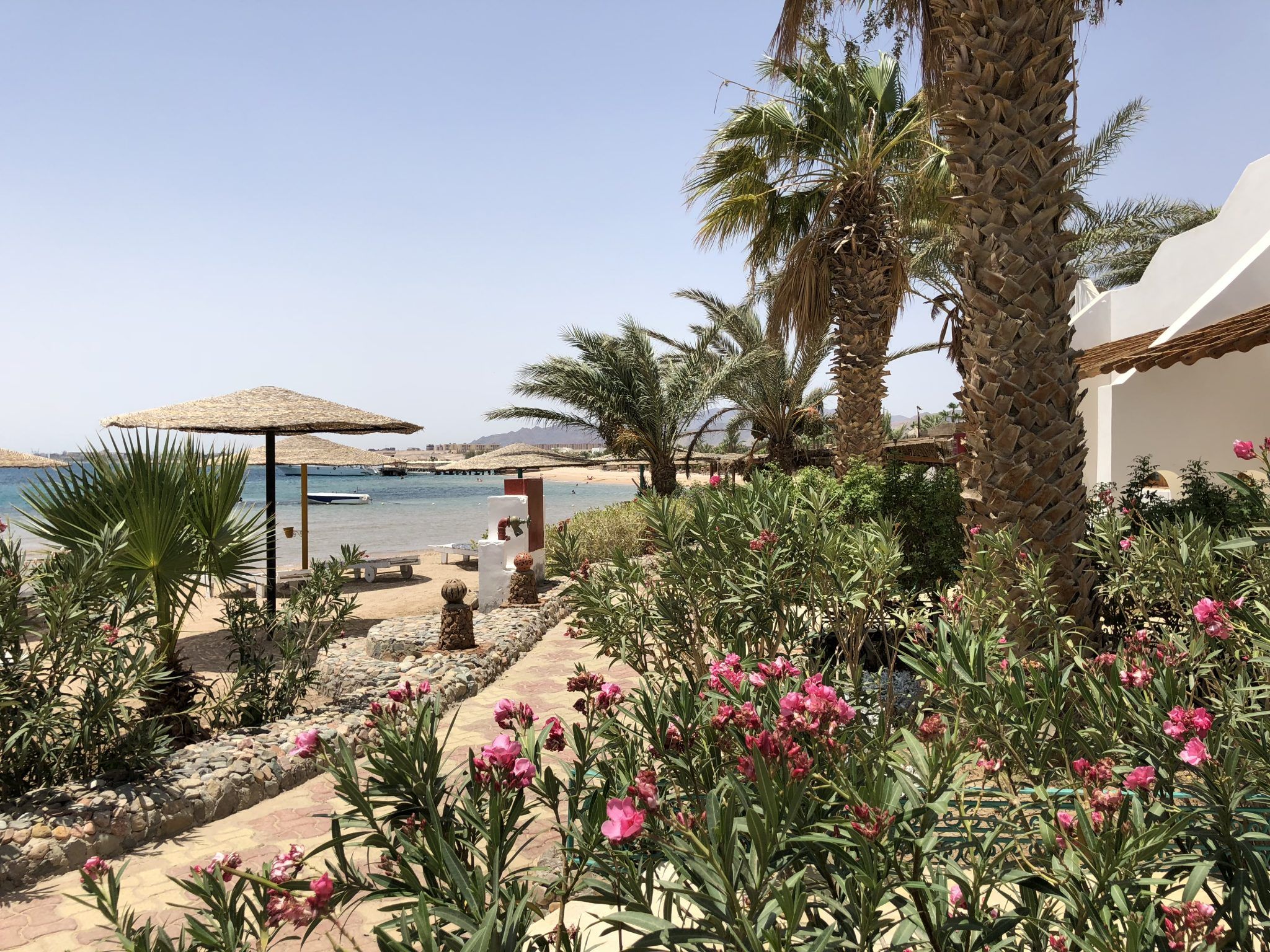 Ägypten-Urlaub Insider-Tipps – Rotes Meer wieder im Trend?