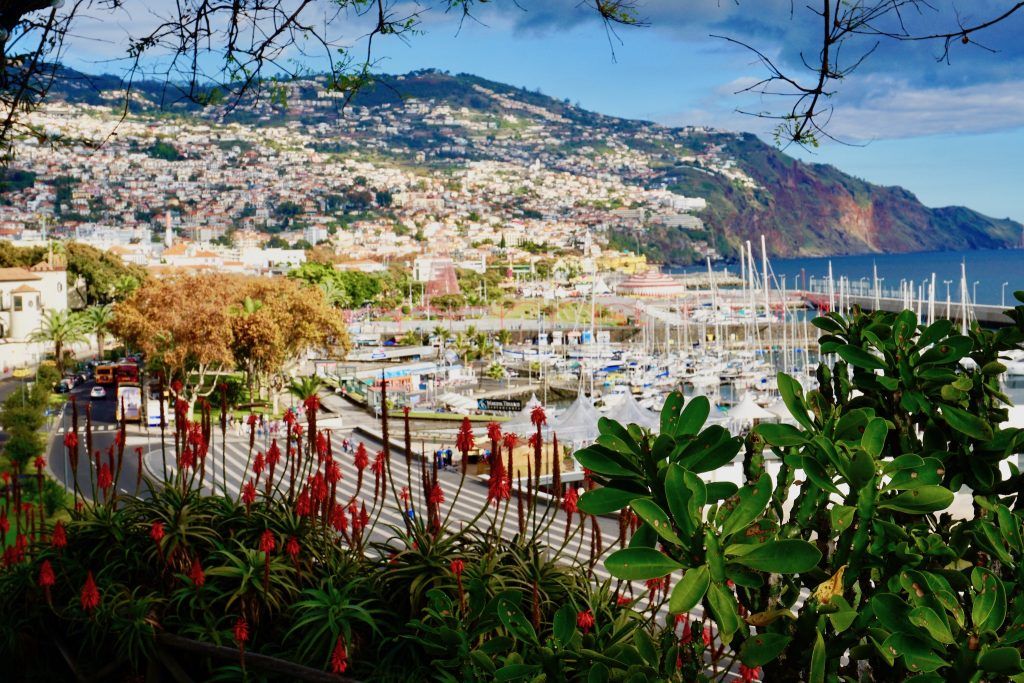 Wir stellen Euch viele wertvolle Madeira-Tipps für eine unvergessliche Reise auf Insel vor.