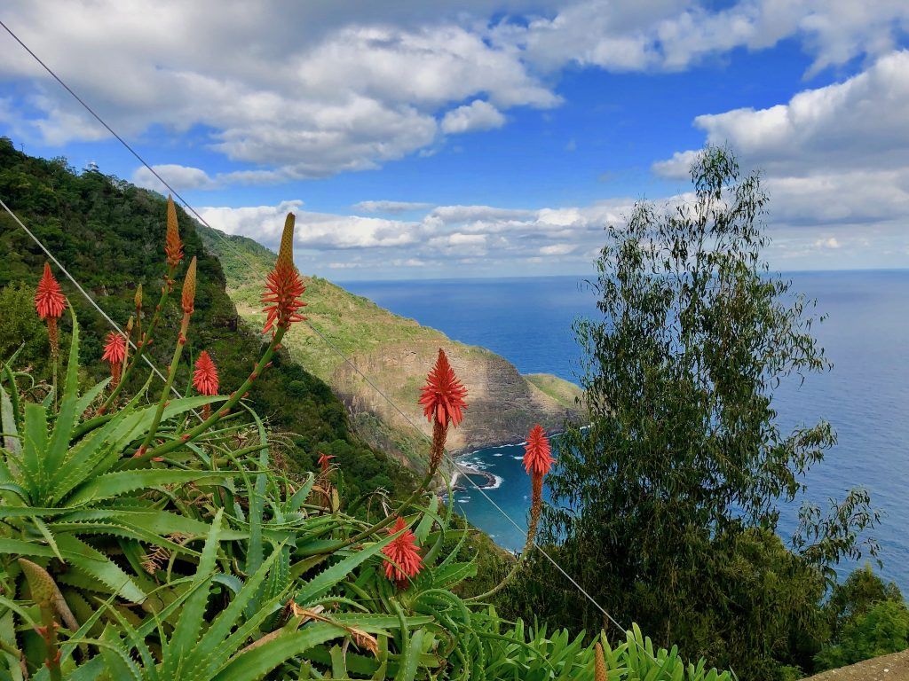 Besonders die Panorama-Blicke haben es uns angetan: Unsere Madeira-Erfahrungen sind durchweg positiv! Foto: Sascha Tegtmeyer