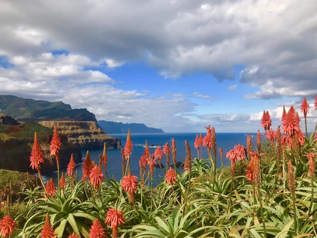 Bei einer Mietwagen-Tour auf Madeira findet Ihr allerorts solche Ausblicke. Foto: Sascha Tegtmeyer