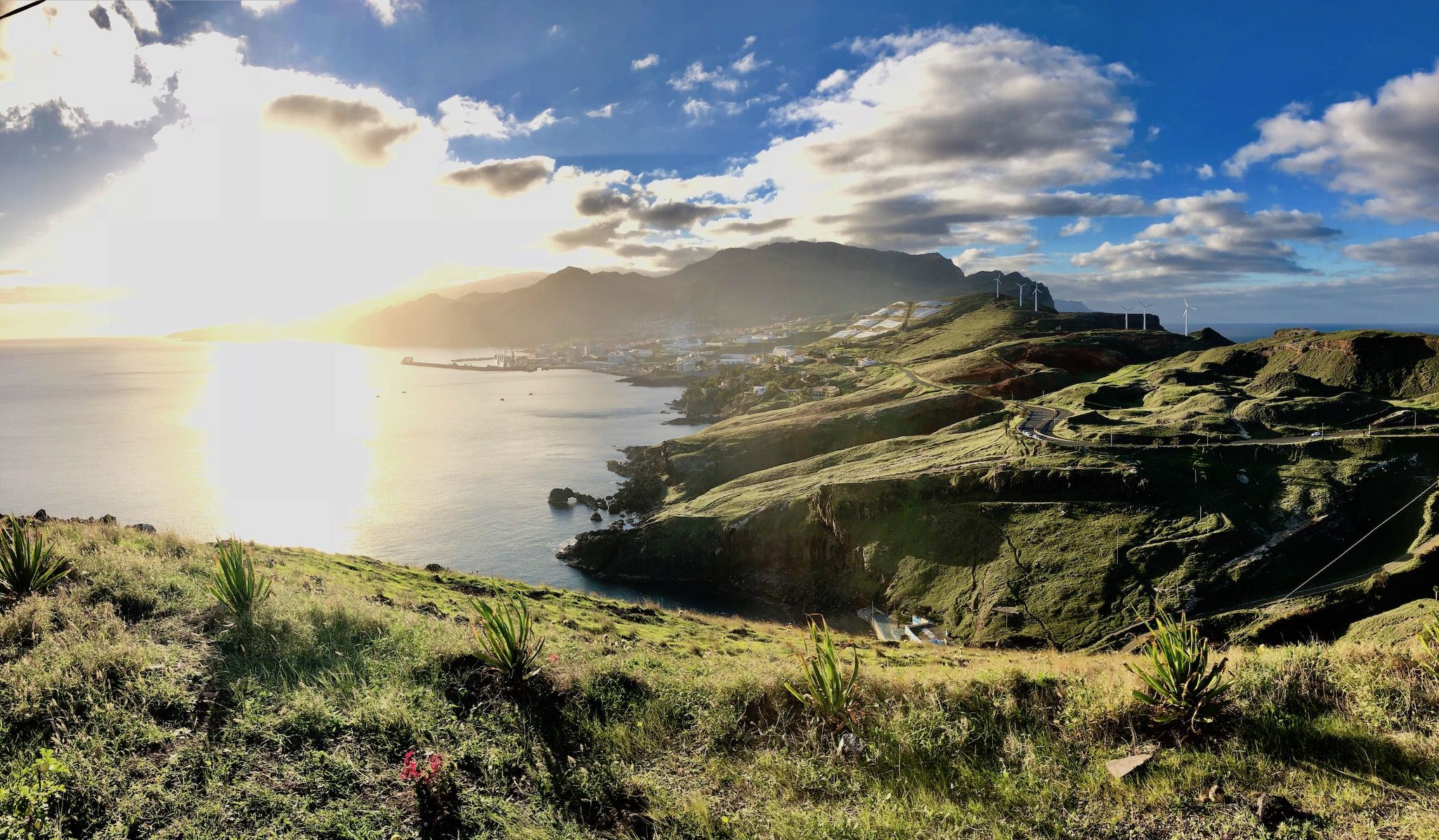 Reisebericht Madeira: Tipps & Erfahrungen – grünes Inselparadies?