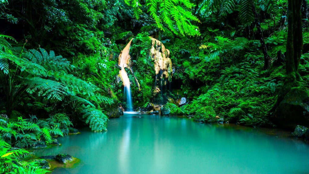 Abenteuerurlaub für Entdecker gibt es im Frühling auf den Azoren. Foto: Pixabay