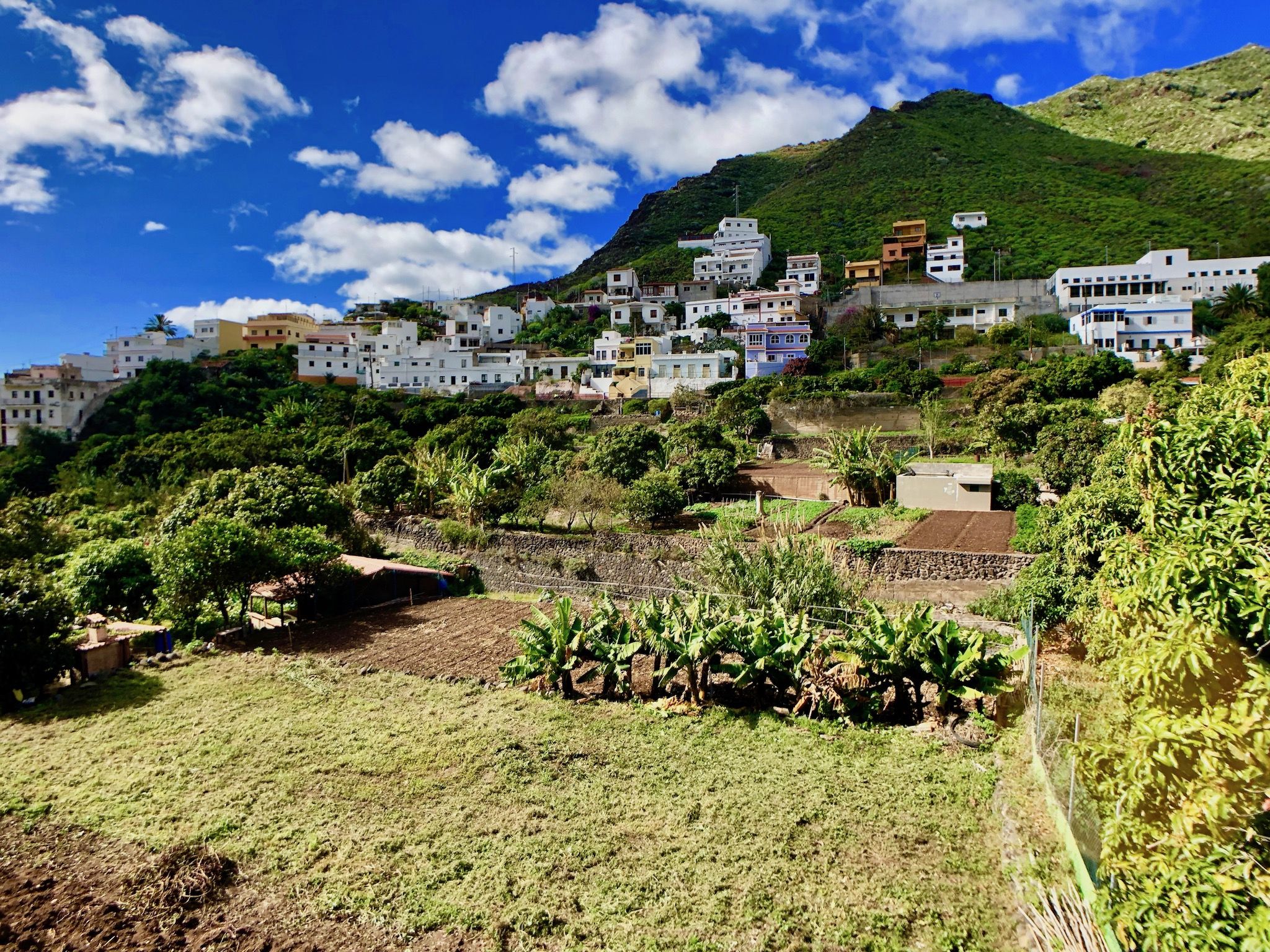 Das Dorf Igueste de San Andrés liegt im äußersten Nordosten der Insel – man kann hier wirklich mal sagen: fernab der großen Touri-Ströme. Foto: Sascha Tegtmeyer