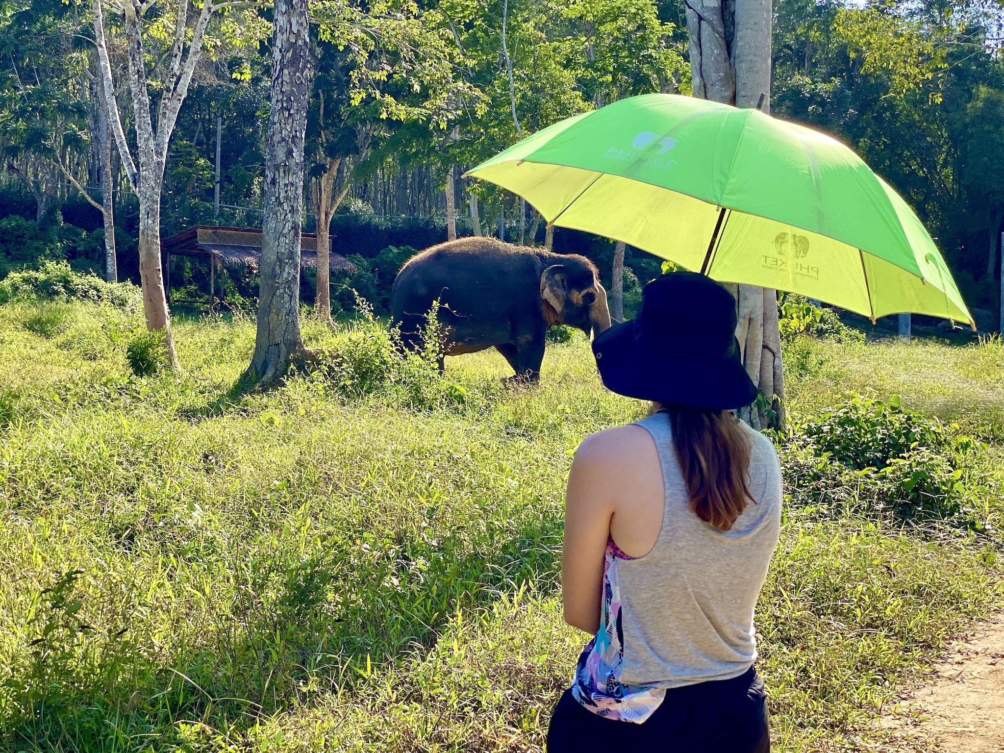 Freilaufende Elefanten beobachten stand immer ganz weit oben auf meiner Bucket Liste. Foto: Sascha Tegtmeyer