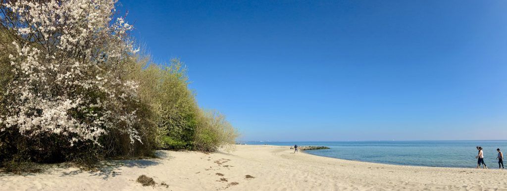 Idyllisch und ruhig: Der Strand von Sierksdorf ist herrlich zum Entspannen. Foto: Sascha Tegtmeyer