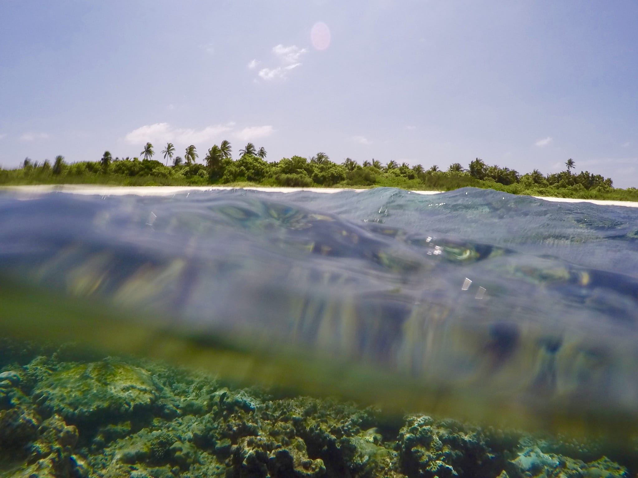 Beim Schnorcheln in der Lagune gibt es immer etwas zu entdecken. Foto: Sascha Tegtmeyer Reisebericht Malediven Tipps