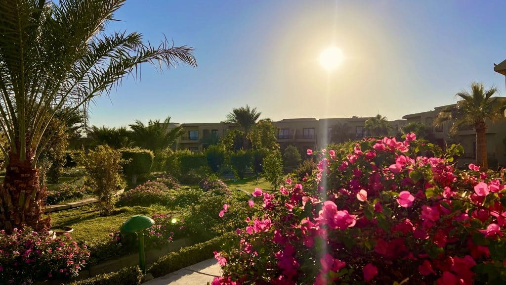 Die Hotelanlagen in Ägypten sind häufig weitläufig – ideal für eine Runde Joggen. Foto: Sascha Tegtmeyer joggen ägypten wüste rotes meer laufen gehen tipps erfahrungen IMG_0781