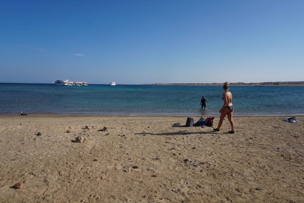 In der Bucht Marsa Mubarak nahe Port Ghalib lebt eine Seekuh – vom Strand aus kann man bequem in der Bucht umherschnorcheln. Foto: Sascha Tegtmeyer Reisebericht Marsa Alam Tipps Erfahrungen – Ägypten