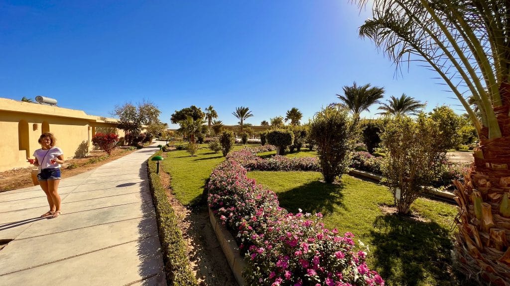 Gepflegte Gartenanlage: Das Fayrouz Beach Resort hat grüne Gärten zwischen den Häusern mit den Hotelzimmern. Foto: Sascha Tegtmeyer Reisebericht Marsa Alam Tipps Erfahrungen – Ägypten