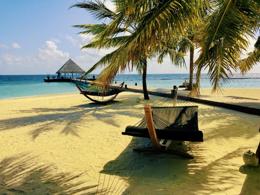Die Malediven sind zweifellos eine der schönsten Inselgruppen der Welt und ein wahrhaft paradiesisches Fernreiseziel. Ob man einen entspannten Strandurlaub verbringen möchte oder auf der Suche nach einzigartigen Taucherlebnissen ist, die Malediven haben für jeden etwas zu bieten. Die kleinen Inseln mit ihrer exotischen Flora und Fauna, umgeben von türkisblauen Lagunen mit Badewannentemperatur, bieten die perfekte Kulisse für einen unvergesslichen Urlaub.Foto: Sascha Tegtmeyer