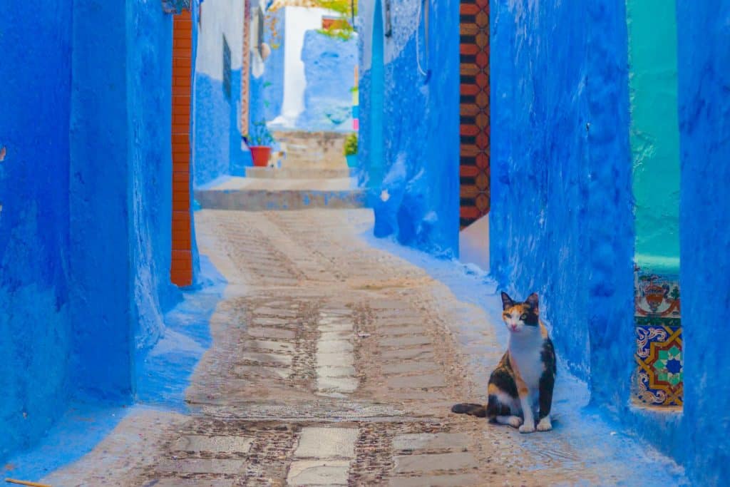 Marokko Gute und günstige Reiseziele – Liste: Wo kann man gut und günstig Urlaub machen? Marokko ist ein Land mit einer reichen Geschichte, Kultur und Landschaft, das zu einem beliebten Reiseziel für Reisende mit kleinem Budget geworden ist. Die endlose Wüste, atemberaubende Bergpanoramen und kultige Städte bieten ein unvergessliches Erlebnis. Ein Highlight ist die Stadt Marrakesch, die für ihre quirligen Basare, farbenfrohen Gärten und ihre Architektur bekannt ist. Die blauen Gassen und die charmante Medina von Chefchaouen sollten ebenfalls besucht werden.
