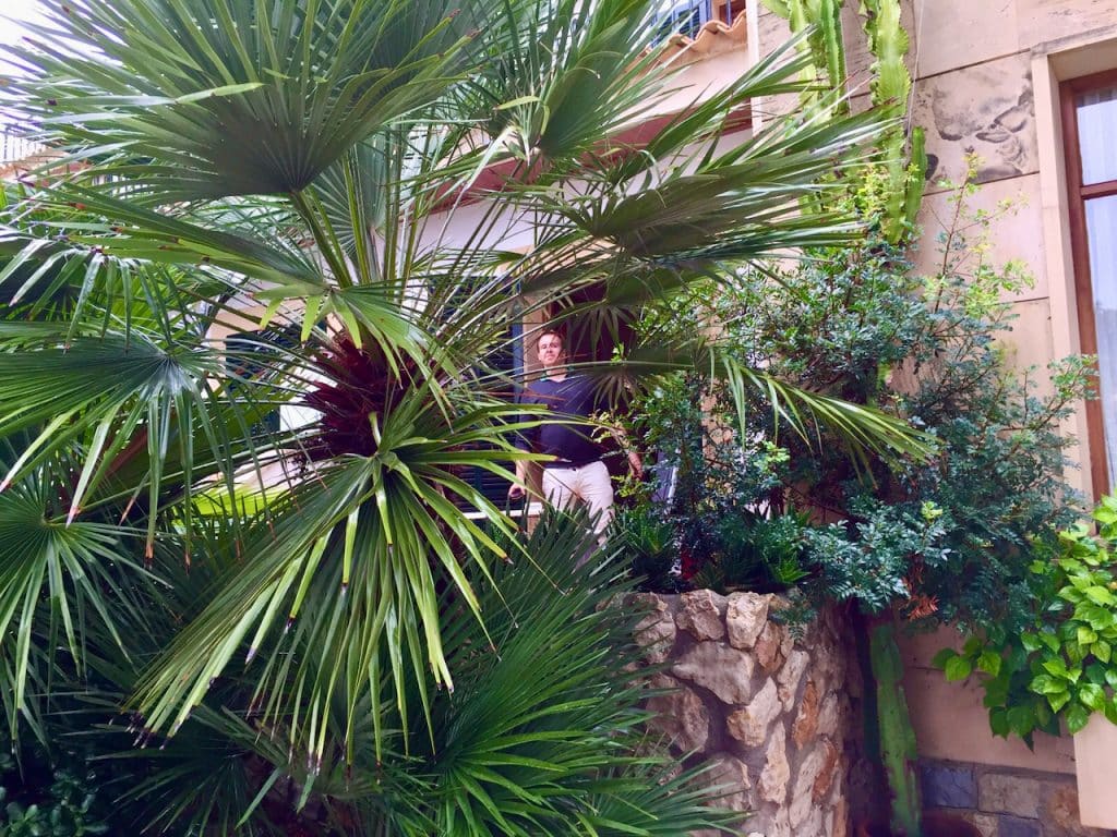 Hotel Cala Fornells Mallorca – Erfahrungen & Bewertungen