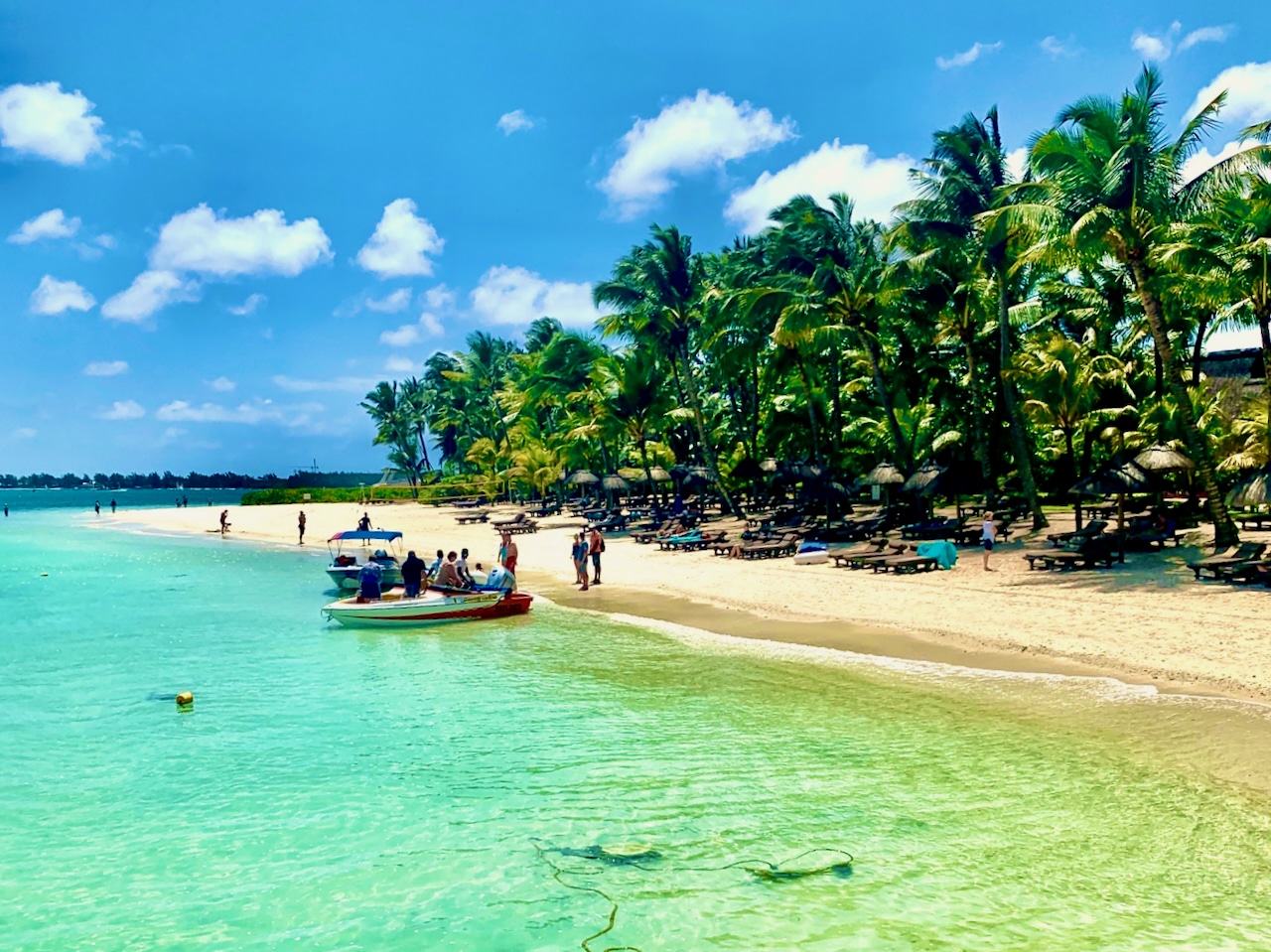 An den Stränden von Mauritius kannst du ganz wunderbar schnorcheln – oftmals triffst du in unmittelbarer Strandnähe auf Schildkröten und bunte Fische. Foto: Sascha Tegtmeyer Schnorcheln Mauritius Erfahrungsbericht Tipps Erfahrungen